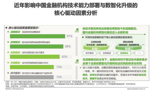 2025年中國金融科技（FinTech）行業(yè)發(fā)展洞察報(bào)告 信息技術(shù)咨詢服務(wù)的核心作用